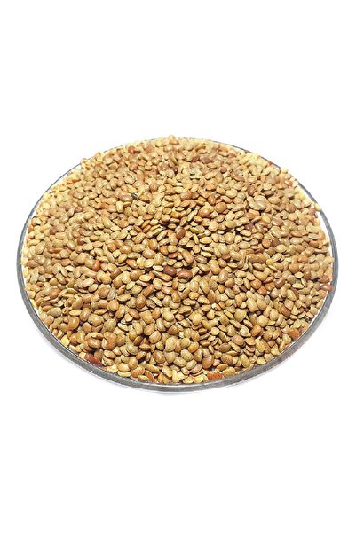 Natural غرام الحصان 1 كجم (كولثي دال / شاني كي دال) × 5