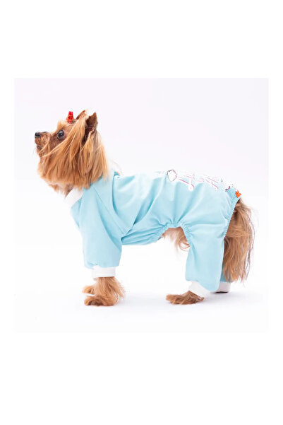 Pawstar Baby Blue Kedi Ve Köpek Tulum Xl 6,5-9 Kg