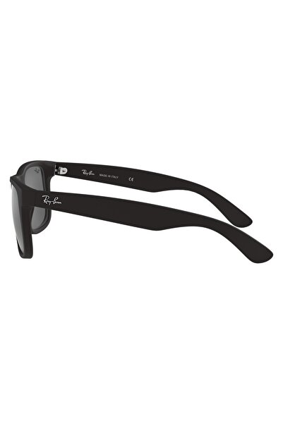 Ray-Ban Sunglasses Rb4165 55 622/6g