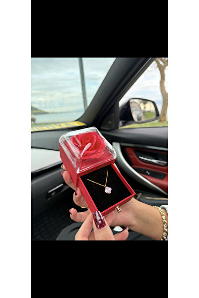 ENES MEDYA Kırmızı Gül Kutulu Kokulu Çantalı Sedefli Yonca Kolye Seti - Hediyelik 004