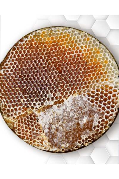 Siirt Doğal Siirt Pervari Organik Katıksız Karakovan Petek Balı 1 kg