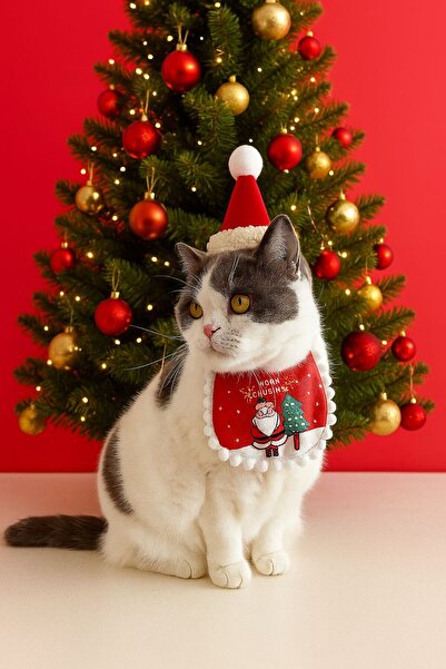 Payidar Hediyelik KEDİ / KÖPEK YILBAŞI PARTİ KIYAFETİ (2 PARÇA: ŞAPKA VE ÇİFT TARAFLI ÖNLÜK) EVCİL HAYVAN NOEL KOSTÜMÜ