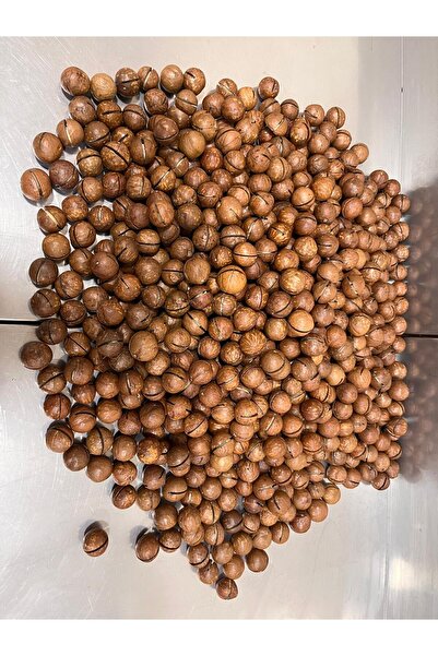 yöresel Kabuklu Makademya Fındığı 500G