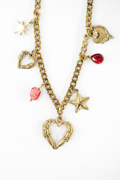 Anchi HEARTVINE CHARM NECKLACE - Çoklu Charmlı Çelik Kolye
