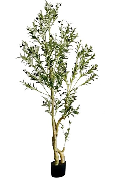 Artificiale Rolio Maslin Artificial – 1.2 m, 1.5 m, 1.8 m – Decor Elegant cu Aspect Realist - 1.8 m