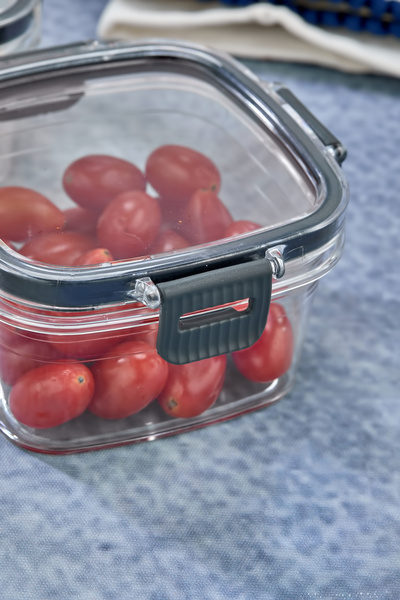 OES HOME Set of 2 Leakproof Silicone Sealed Breakfast Storage Containers