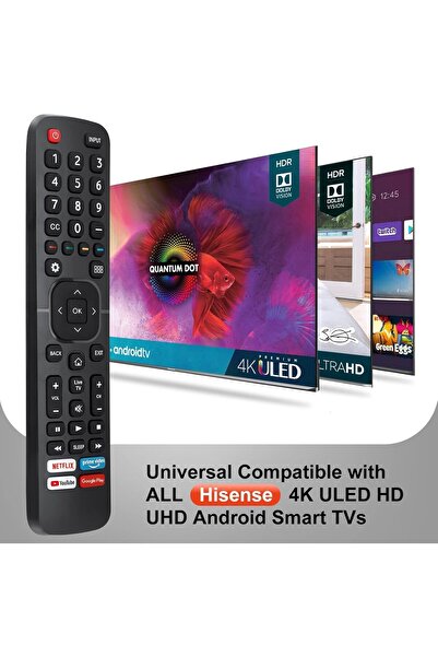 Generic Pack of 2 Universal TV Remote EN2A27 - ELTERAZONE