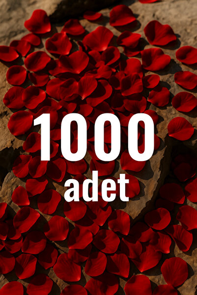 Beauty Box Petale de trandafir roșu artificial – Decor romantic, ornament pen...