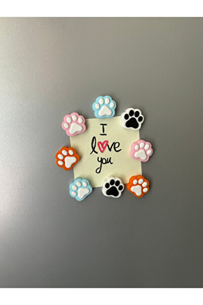 La Decore Pati Magnet seti 6 Renk magnet Pati model buzdolabı süsü 6 lı