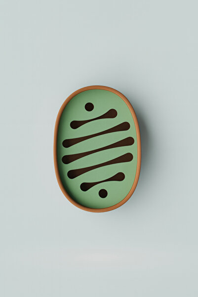 loftico Süngerlik - Sabunluk - Dekoratif Yenilikçi Renkli ve Şık Pinterest Sü...