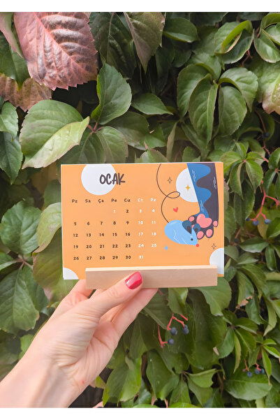 Miko Miko Şeyler 2026 Kedi Temalı Ahşap Standlı Masa Takvimi