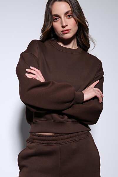 Antioch Brown Basic Women's Sweatshirt