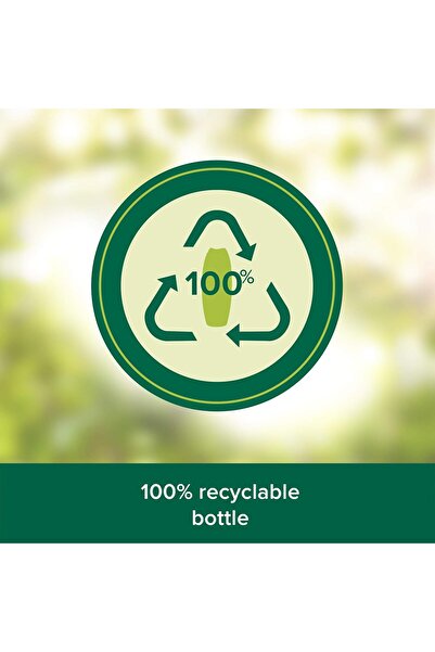 Palmolive Men Anti-Dandruff & Anti-Fall Shampoo, Mint, 380 ml