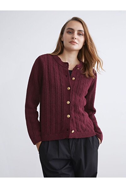 LC Waikiki LCWAIKIKI Classic Bisiklet Yaka Ajurlu Kadın Triko Hırka