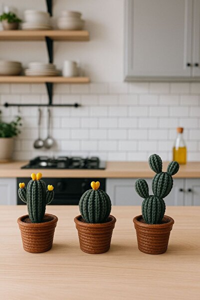 HisConcept Dekoratif 3’lü Kaktüs Seti, Örgü Desenli Biblo, Çevir-Aç Saklama Alanlı, Kırmızı Uçlu