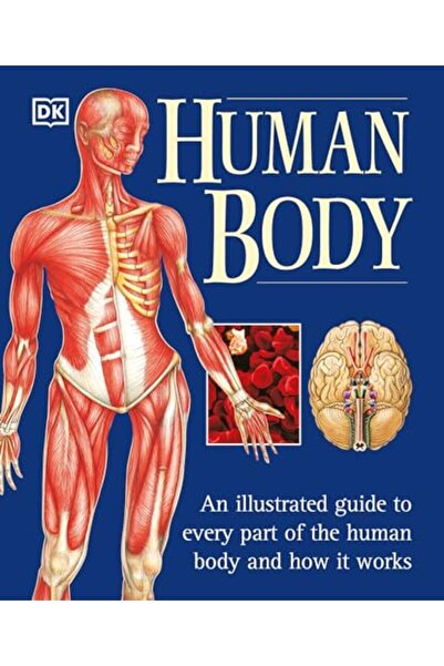 THAT COMPANY CALLED IF V & A Bookaroo Journal A6 موريس توليب ويلو