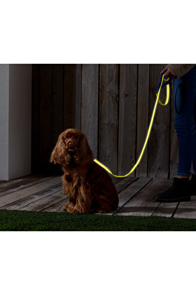 Tchibo Köpek Tasması, Reflektörlü