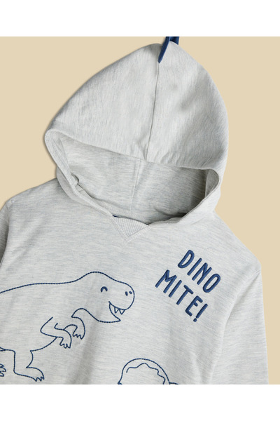 R&B Bleach Melange Boy's Dino Print Hooded Clothing Set