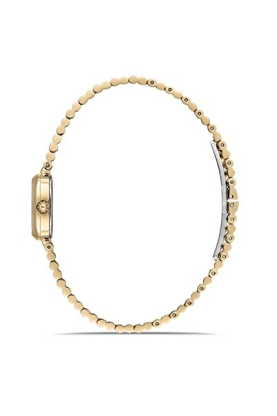 Momentus Cw317G-02Sg Wristwatch