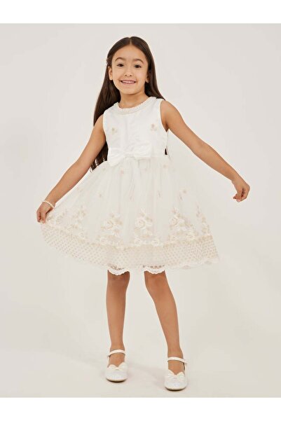 Generic Styli Embroidered Lace Detail Sleeveless Dress