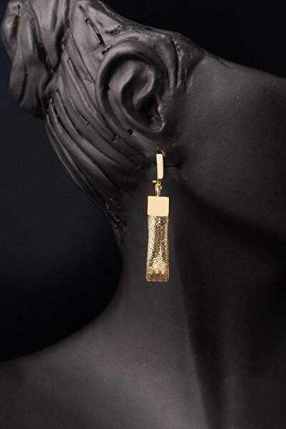 Bilezikci İtaly 14 Ayar Altın Sallantılı Küpe