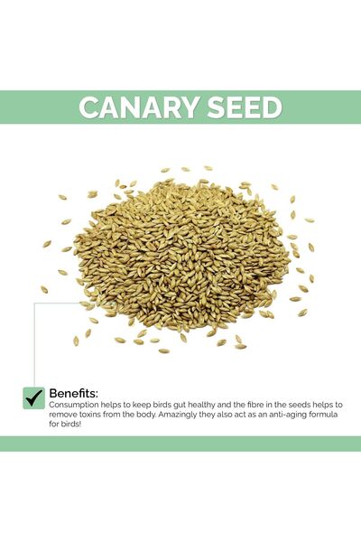 MyPetShop ® Budgie Food Premium - Budgie Seed Mix, Vitamin Added, 2 kg