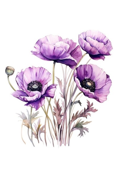 BV Autocolant decorativ, Buchet de flori de mac, Mov, 65 cm