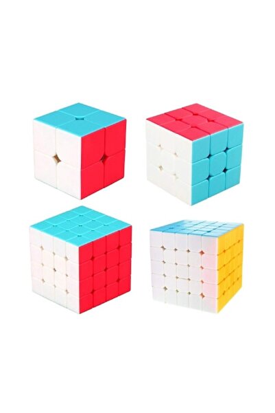 BV Set Cub Magic Shengshou Legend 4 în 1, fără autocolante, 472CUB-1