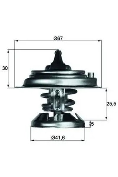 MAHLE TX2985D Termostat 0820117806 6012000015 6062030275