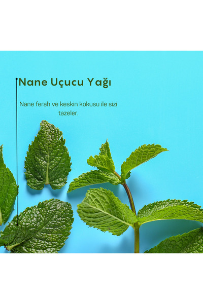 Gülhanya Aromaterapi İngiliz Nanesi Uçucu Yağı 10ml