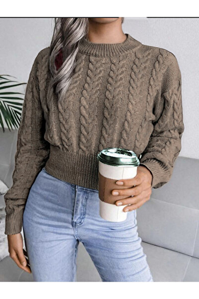 AlanTeks Crew Neck Intermediate Length Hair Knitted Women's Sweater