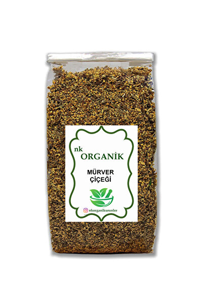 nk organik Black Elderberry Flower Sambucus Nigra L 25Gr