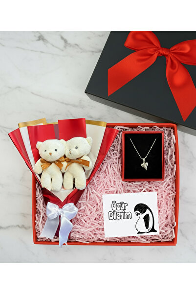 Linalux Gifts Özür Hediyesi - Mini Ayıcık Buketli ve Çelik Kalp Kolyeli Hediye Kutusu - Sevgiliye Özür Dilerim