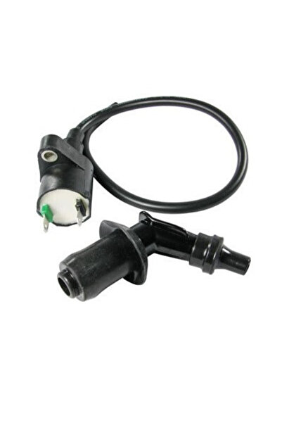 China Bobină de inducție scuter 4T GY6 (2 papuci)