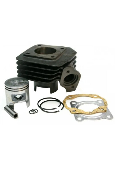 China Set motor scuter 50cc 2T Honda Vision, Tact / Peugeot Rapido