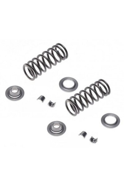 China Set arcuri supape Yamaha YBR 125cc