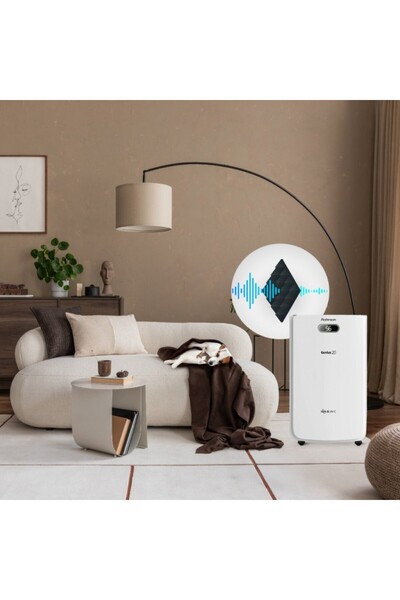 ROHNSON Air dehumidifier R95020 GENIUS 20, WI-FI, ionization function, 320 W, 120 m²,