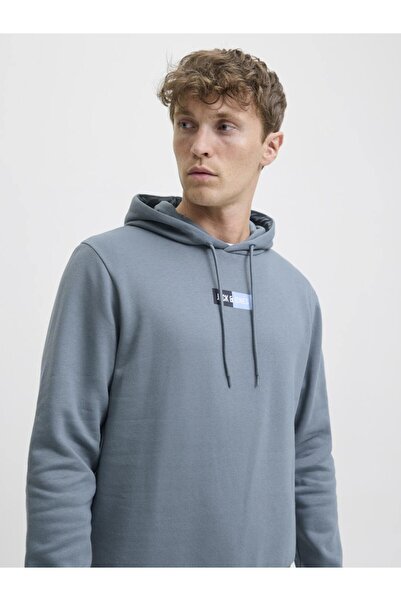 Jack & Jones JJPAN Logo Graphic Hoodie