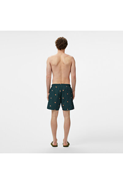 Nautica Erkek Yeşil Regular Fit Desenli Deniz Şortu