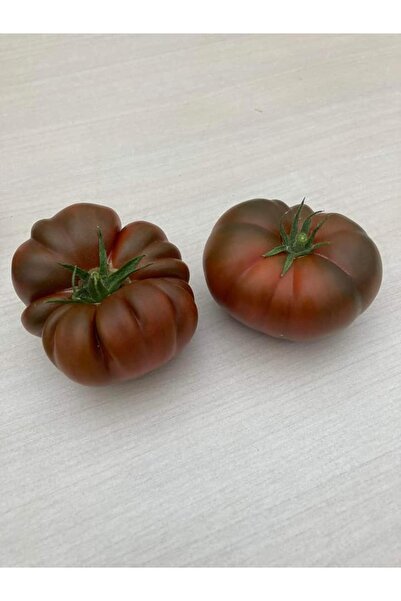 PROFIT SEEDS Seminte tomate CAPPUCCINO F1 (100 sem)