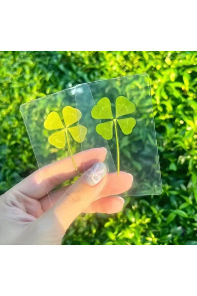 1PARÇAMAVİ 1 قطعة من ورقة البرسيم - بطاقة البرسيم ذات الأوراق الأربعة - هدية صداقة