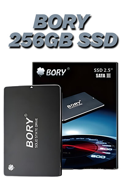 BORY 256GB 2.5" SATA3 SSD R500-C256G | 550/510 MB/s Hız | Hızlı Açılış ve Sessiz