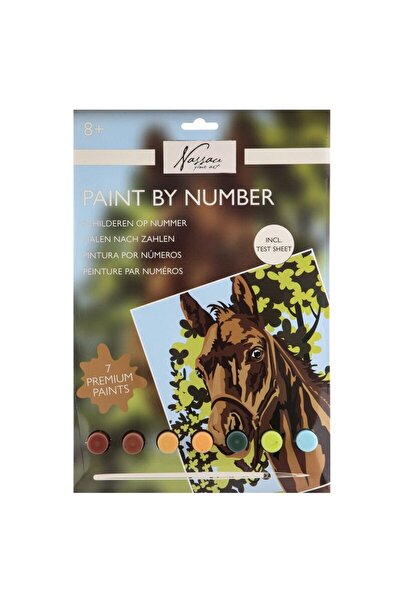 Nassau Pictură pe numere Cal