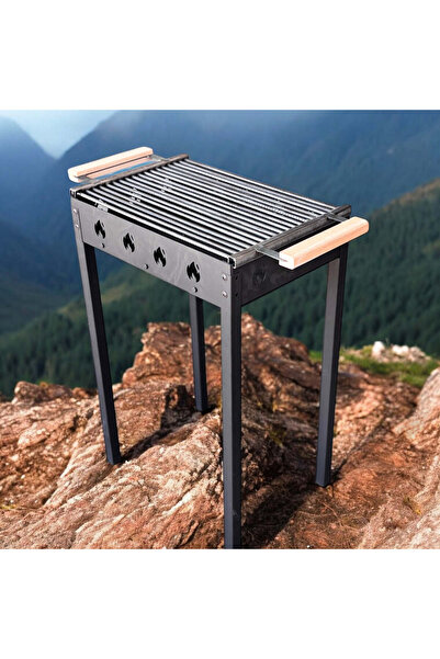 buz Grătar de grădină portabil 50 x 35 cm, tije rotunde din oțel de 8 mm, per...