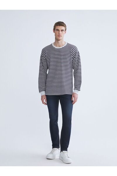 LC Waikiki Ανδρικό πλεκτό πουλόβερ Crew Neck ριγέ