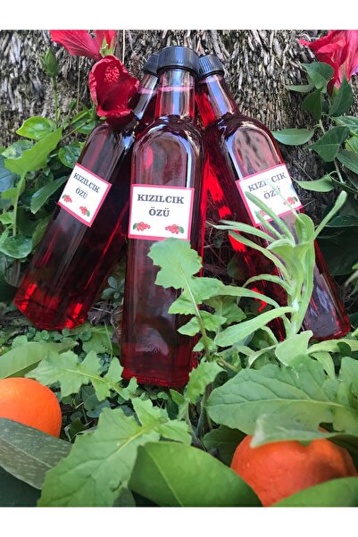 DOĞALINDAN DALINDAN %100 DOĞAL KIZILCIK PEKMEZİ/ÖZÜ 900 Gr.