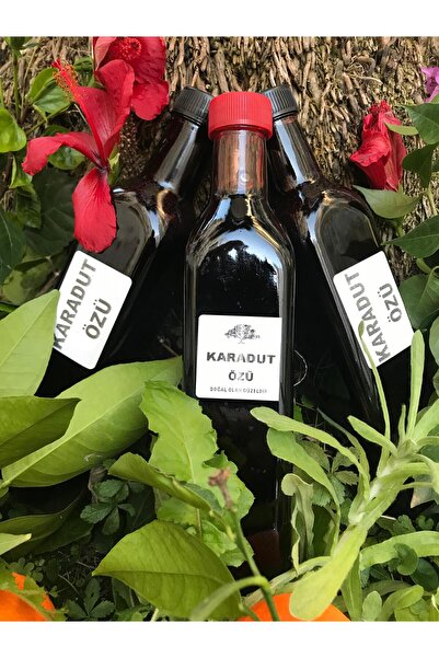 DOĞALINDAN DALINDAN %100 KARADUT PEKMEZİ/ÖZÜ 900 Gr.