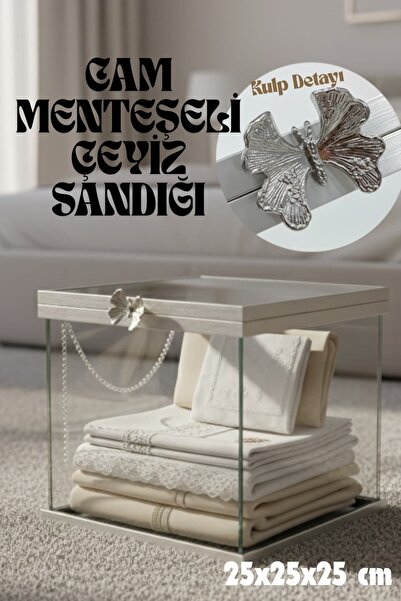 Dantelux Menteşeli Kare Cam Sandık (Kelebek Kulp Detaylı) 25x25x25 cm - Gümüş