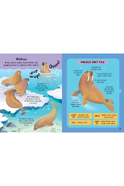 Usborne Slot-together Interactive Book - Sea Creatures (Usborne) with 5 3D Animal Models and Facts (English)