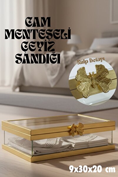 Dantelux Menteşeli Dikdörtgen Cam Sandık (Kelebek Kulp Detaylı) 9x30x20 cm - ...